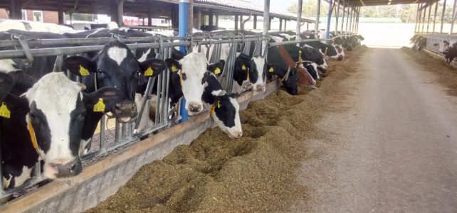 Milchviehbetriebe gesucht – bundesweit