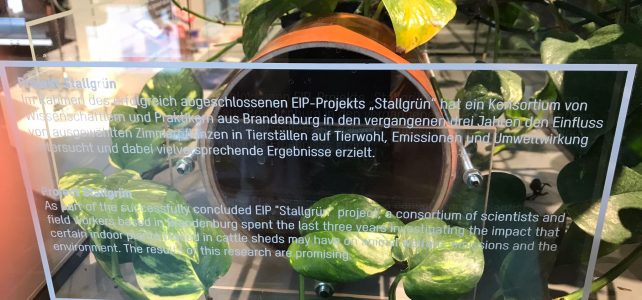 EIP-Projekt „Stallgrün“ im Humboldt-Forum ausgestellt