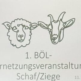 1. BÖL-Vernetzungsveranstaltung Schaf und Ziege