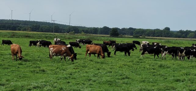 Neuer Exkursionstermin in einen landwirtschaftlichen Demonstrationsbetrieb (Milchrinderhaltung)