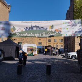 Projekt „reffiSchaf“ auf dem Brandenburger Biofest