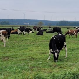 Exkursion in die Agrargesellschaft Emster – Land mbH