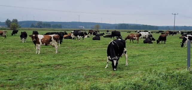 Exkursion in die Agrargesellschaft Emster – Land mbH